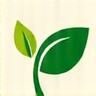 Icône représentant une feuille verte stylisée, symbole de durabilité et d'écologie.